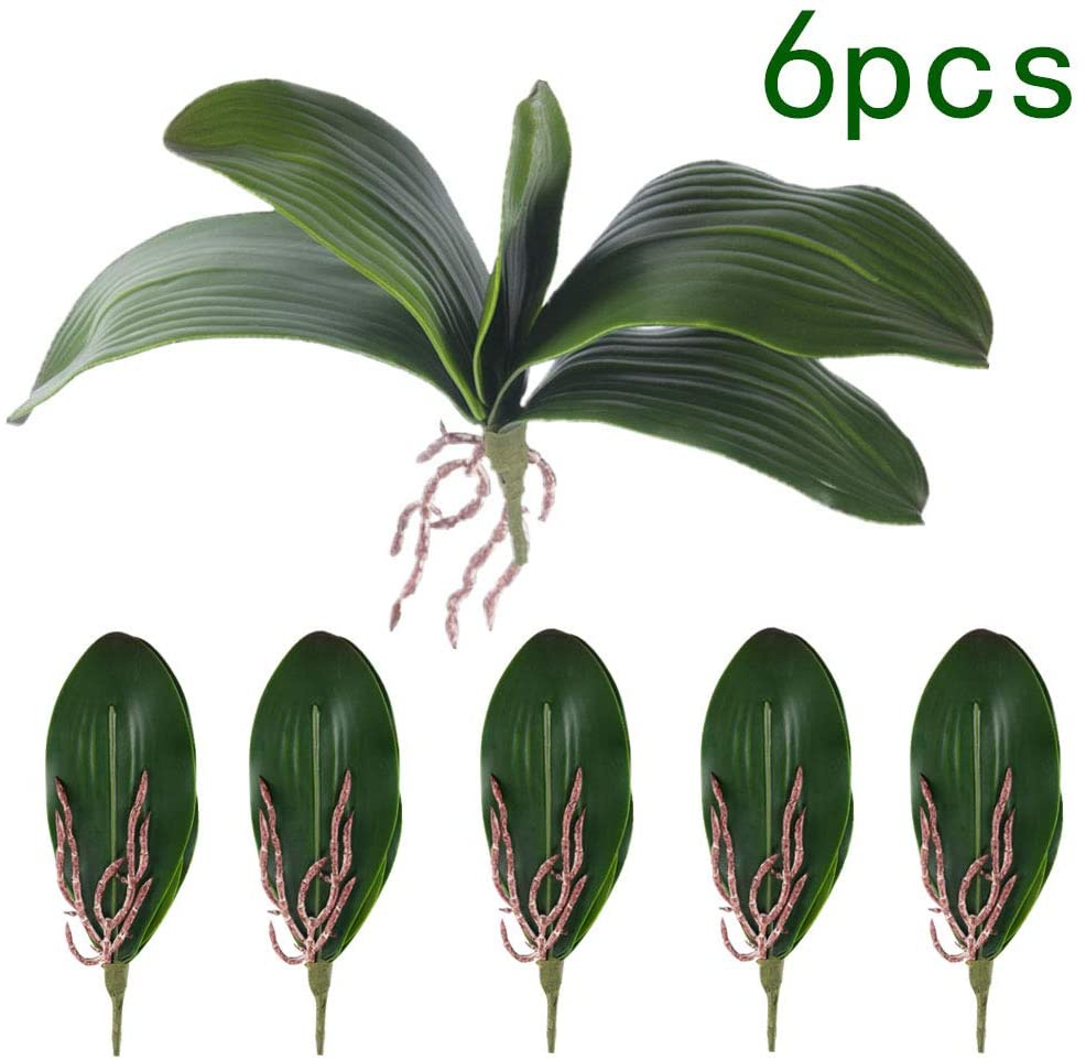 Orchid Phalaenopsis - Phalaenopsis Orchids Leaves Artificial Real Looking