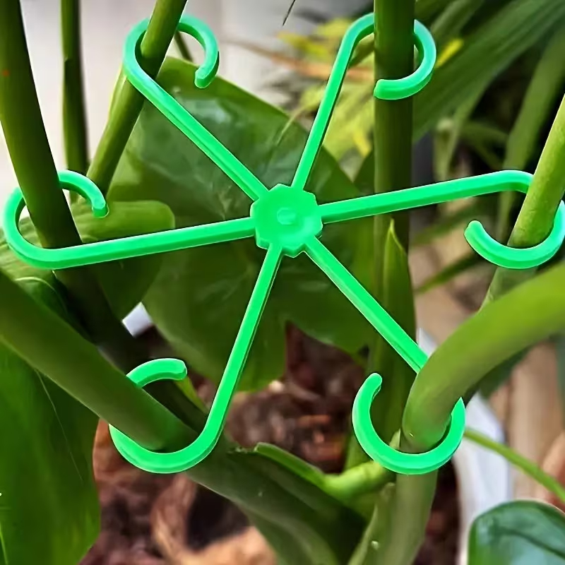Variegated Monstera Node - 8-Piece Plant Stem Support Set with