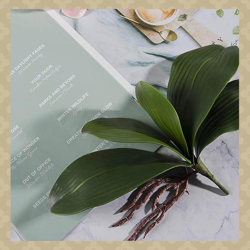 Orchid Phalaenopsis - AB45 Phalaenopsis Orchids Leaves Artificial Real