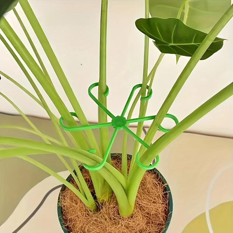 8-Piece Plant Stem Support Set - Variegated Monstera Node recension och pris