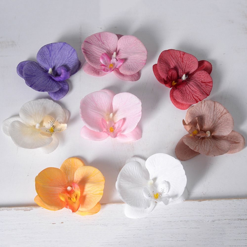 DIY Phalaenopsis Flower Head H - Orchid Phalaenopsis recension och pris