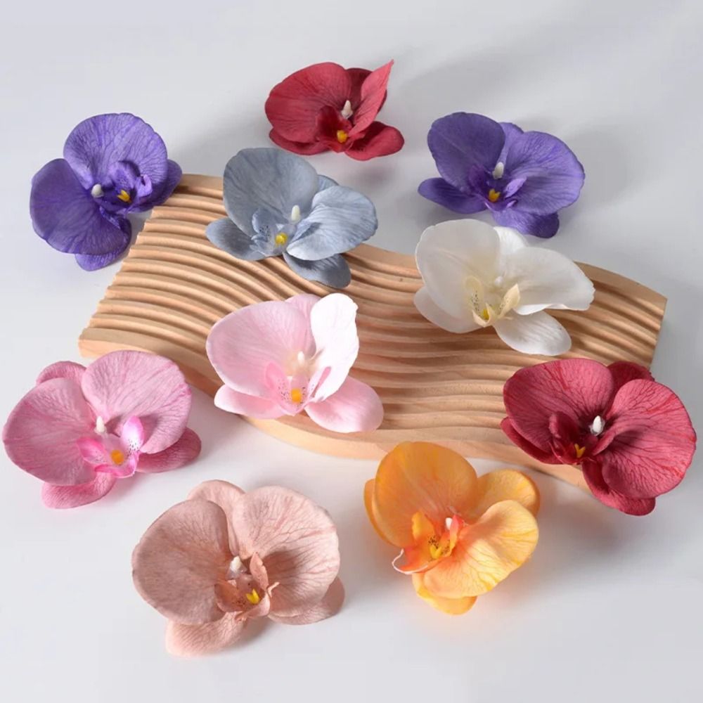 DIY Phalaenopsis Flower Head H - Orchid Phalaenopsis recension och pris
