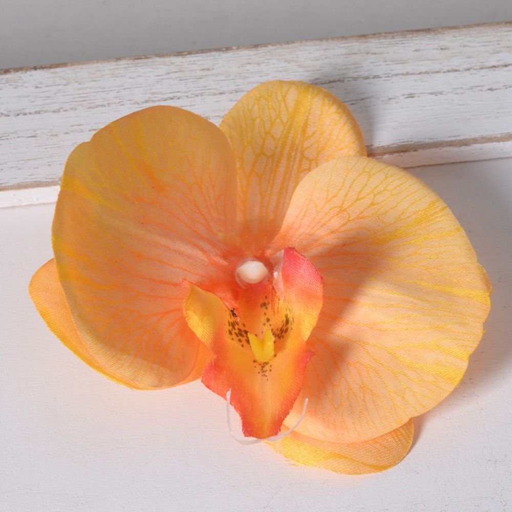 DIY Phalaenopsis Flower Head H - Orchid Phalaenopsis recension och pris
