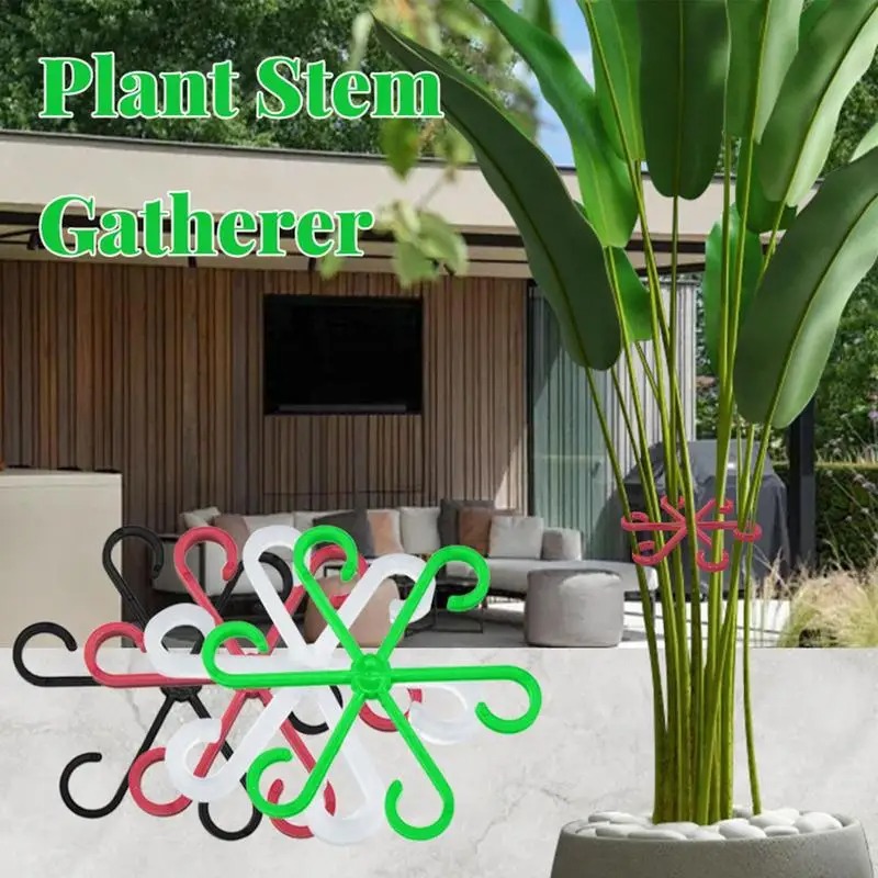 4pcs Climbing Plants Support C - Variegated Monstera Node recension och pris