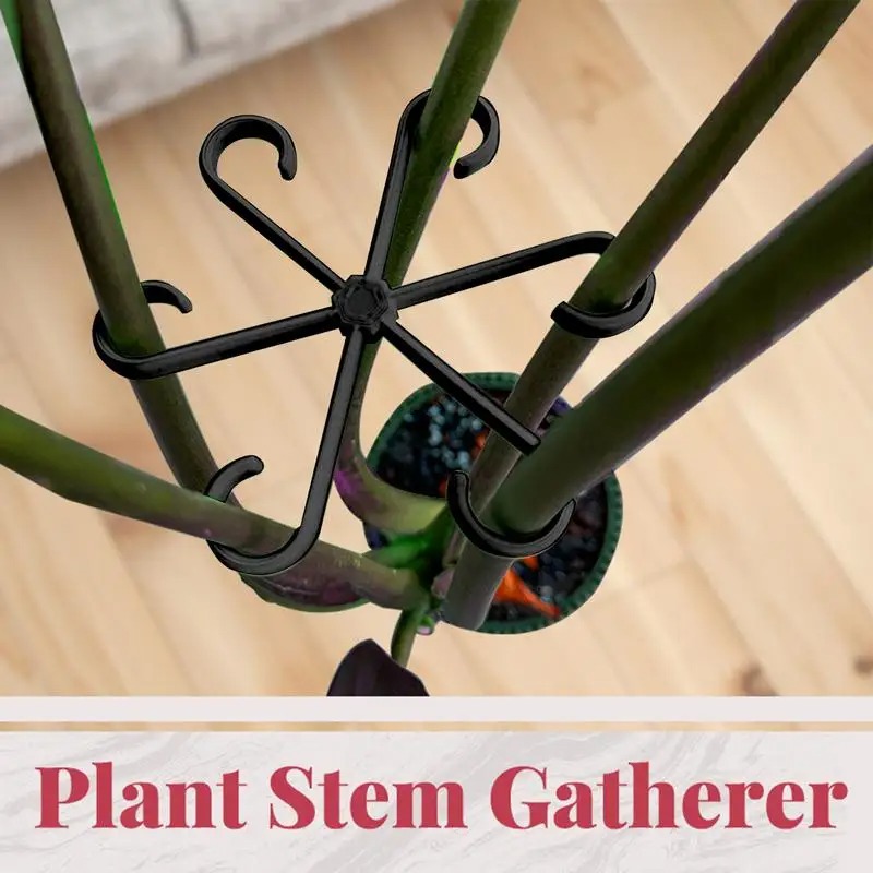 4pcs Climbing Plants Support C - Variegated Monstera Node recension och pris