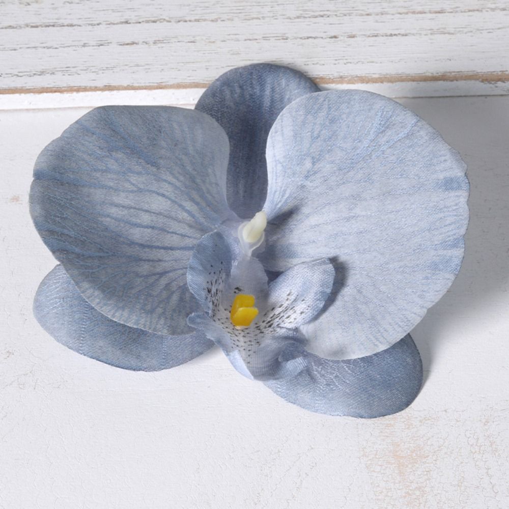 DIY Phalaenopsis Flower Head 1 - Orchid Phalaenopsis recension och pris