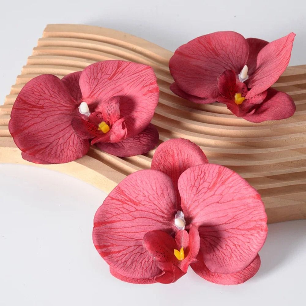 DIY Phalaenopsis Flower Head 1 - Orchid Phalaenopsis recension och pris
