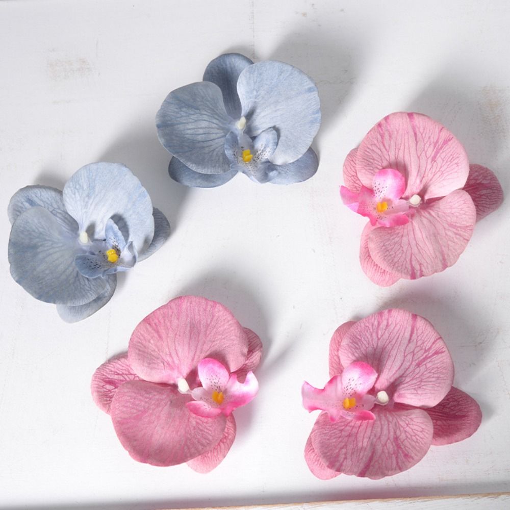 DIY Phalaenopsis Flower Head 1 - Orchid Phalaenopsis recension och pris
