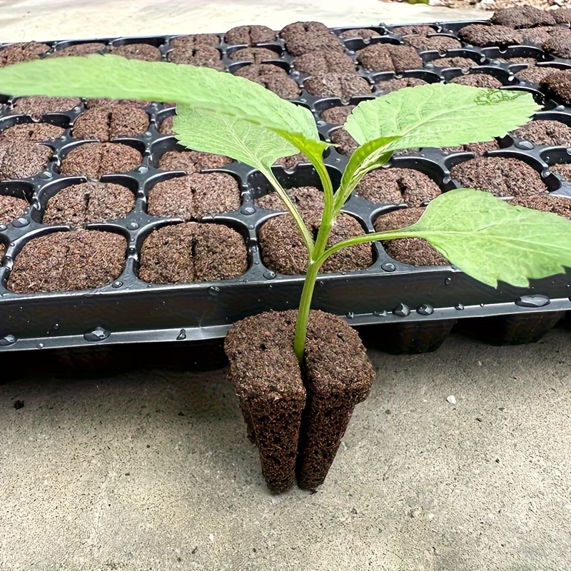 Hydroponic Rapid Grow Rooting  - Orchid Phalaenopsis recension och pris