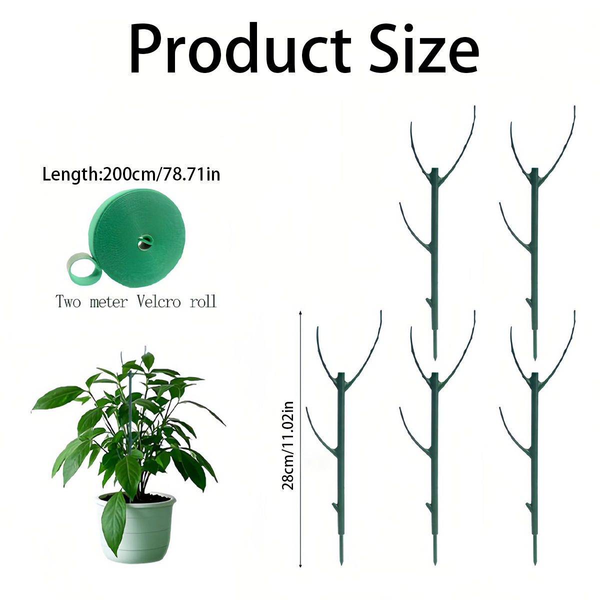 6 PCS Monstera Plant Support S - Variegated Monstera Node recension och pris