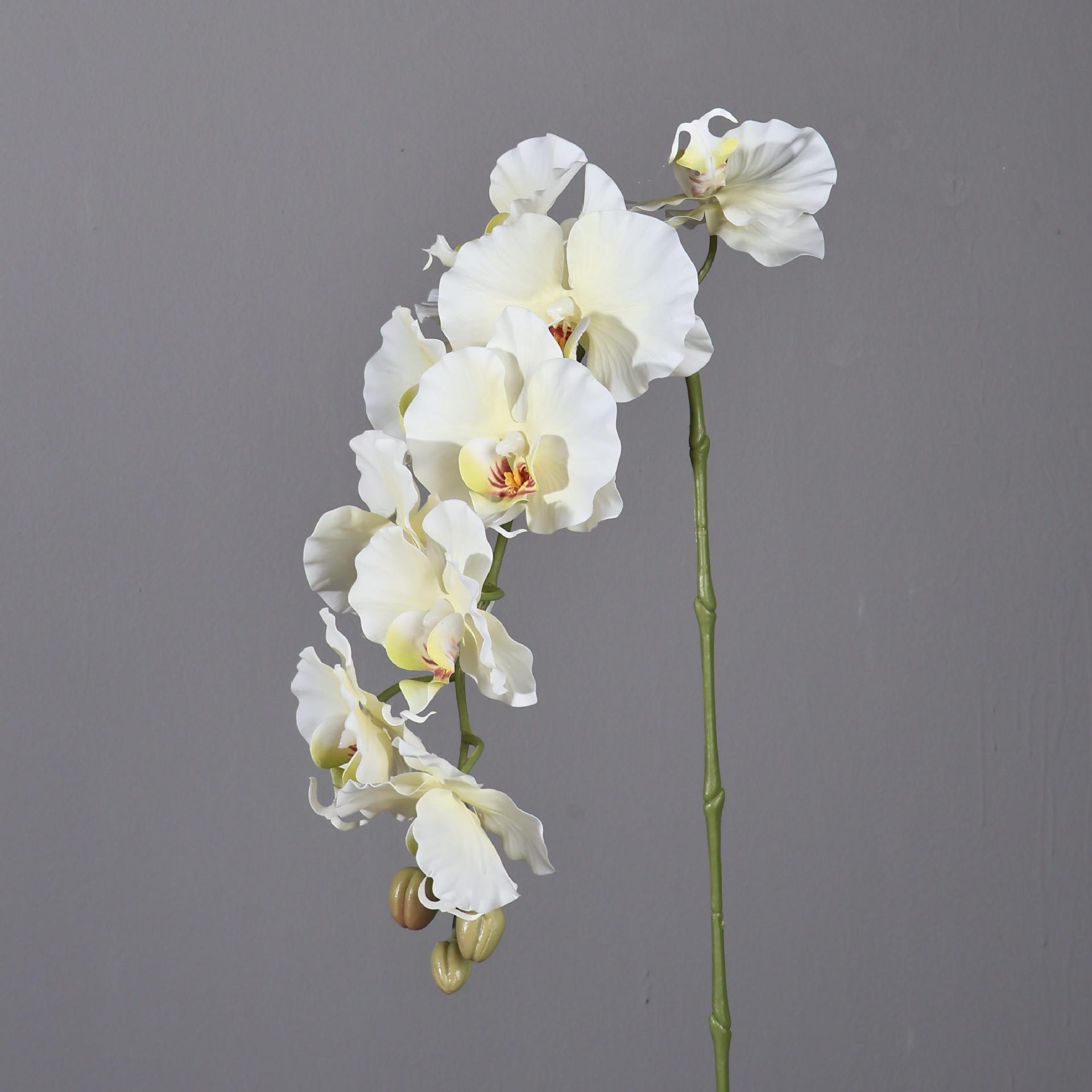 38.6 Inch 9 Heads Korean Style - Orchid Phalaenopsis recension och pris