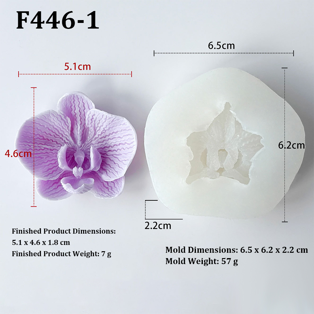 Phalaenopsis Orchid Flower-Sha - Orchid Phalaenopsis recension och pris