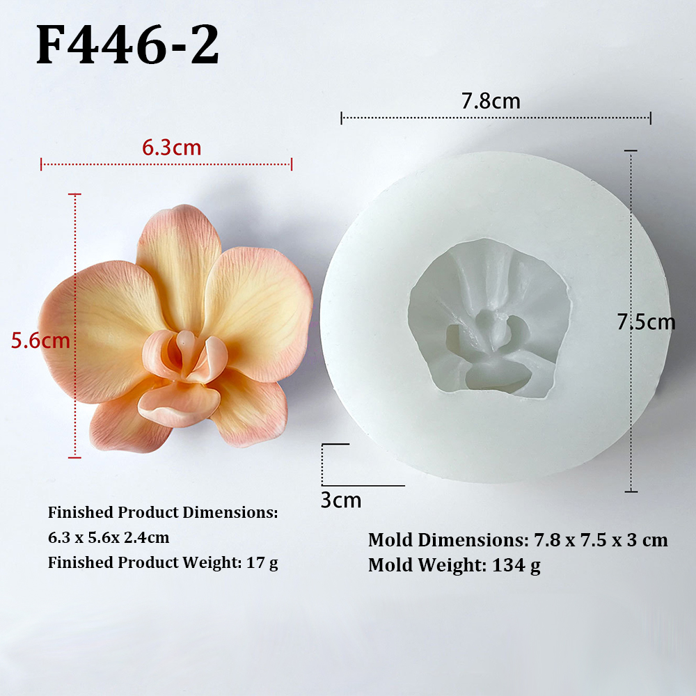 Phalaenopsis Orchid Flower-Sha - Orchid Phalaenopsis recension och pris