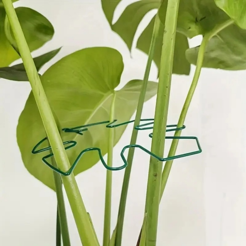 1Pc Large Plant Stand Indoor P - Variegated Monstera Node recension och pris