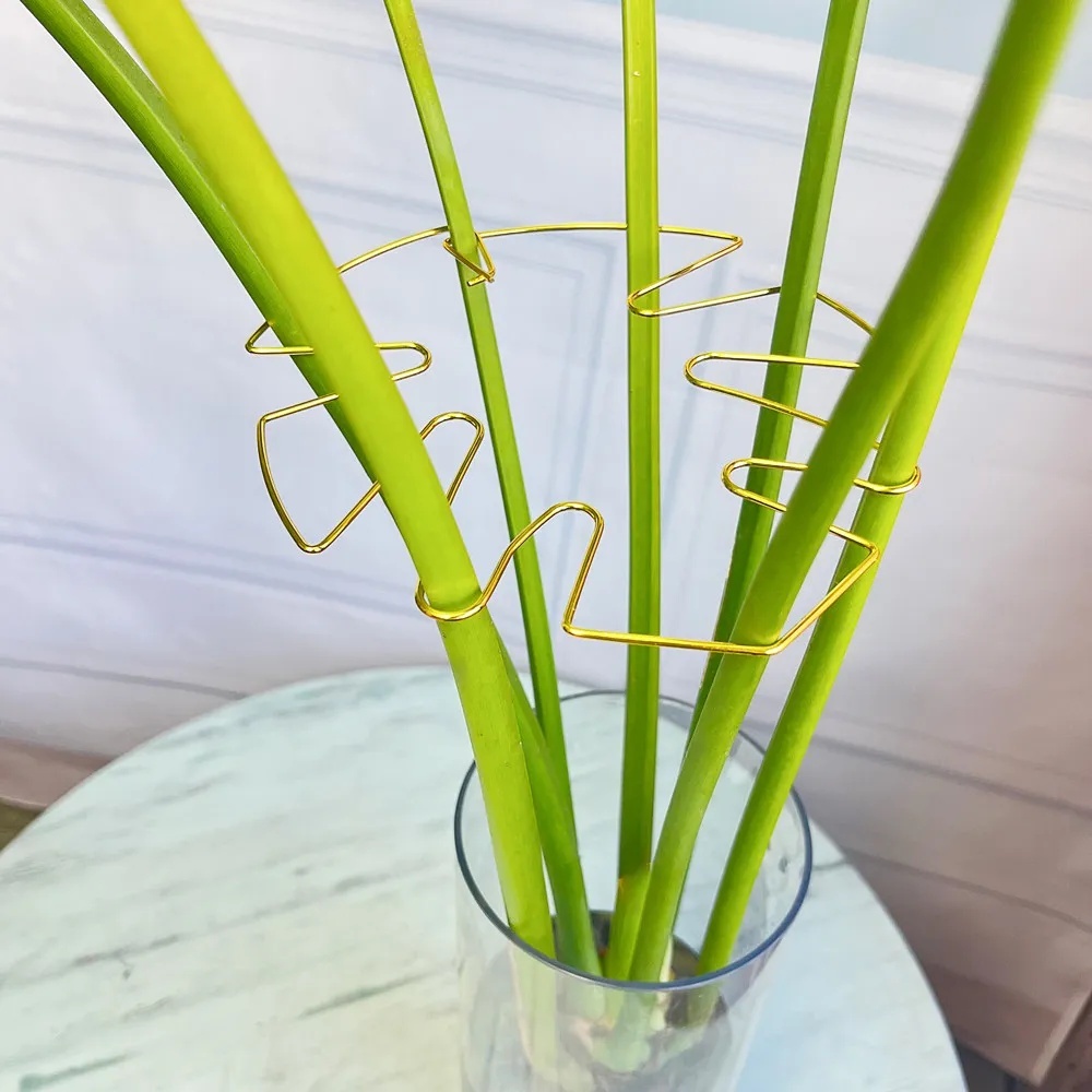1Pc Large Plant Stand Indoor P - Variegated Monstera Node recension och pris