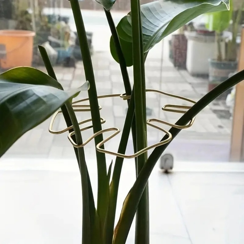 1Pc Large Plant Stand Indoor P - Variegated Monstera Node recension och pris