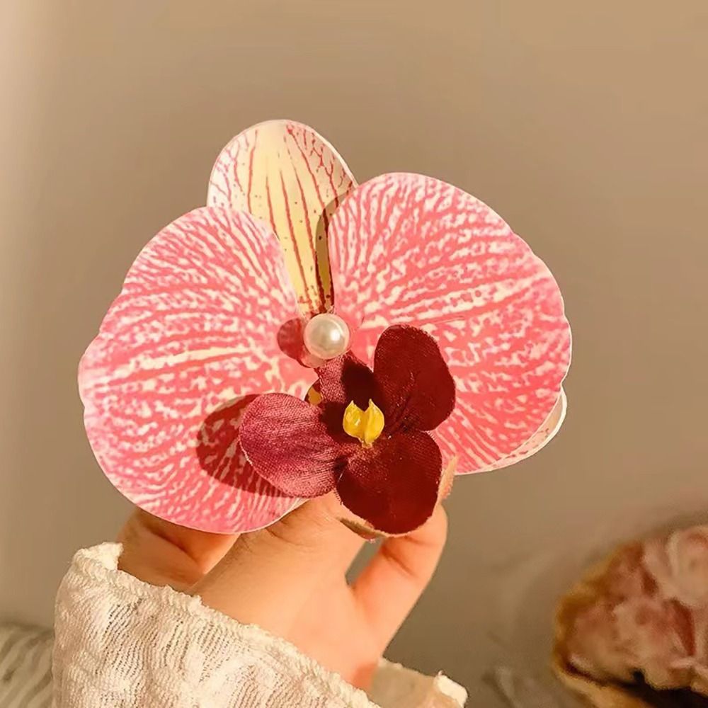 1Pcs Phalaenopsis Pearl Hair C - Orchid Phalaenopsis recension och pris