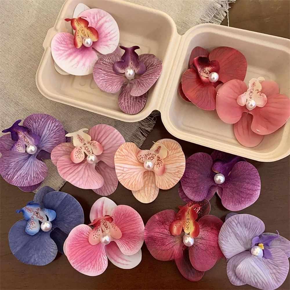 1Pcs Phalaenopsis Pearl Hair C - Orchid Phalaenopsis recension och pris