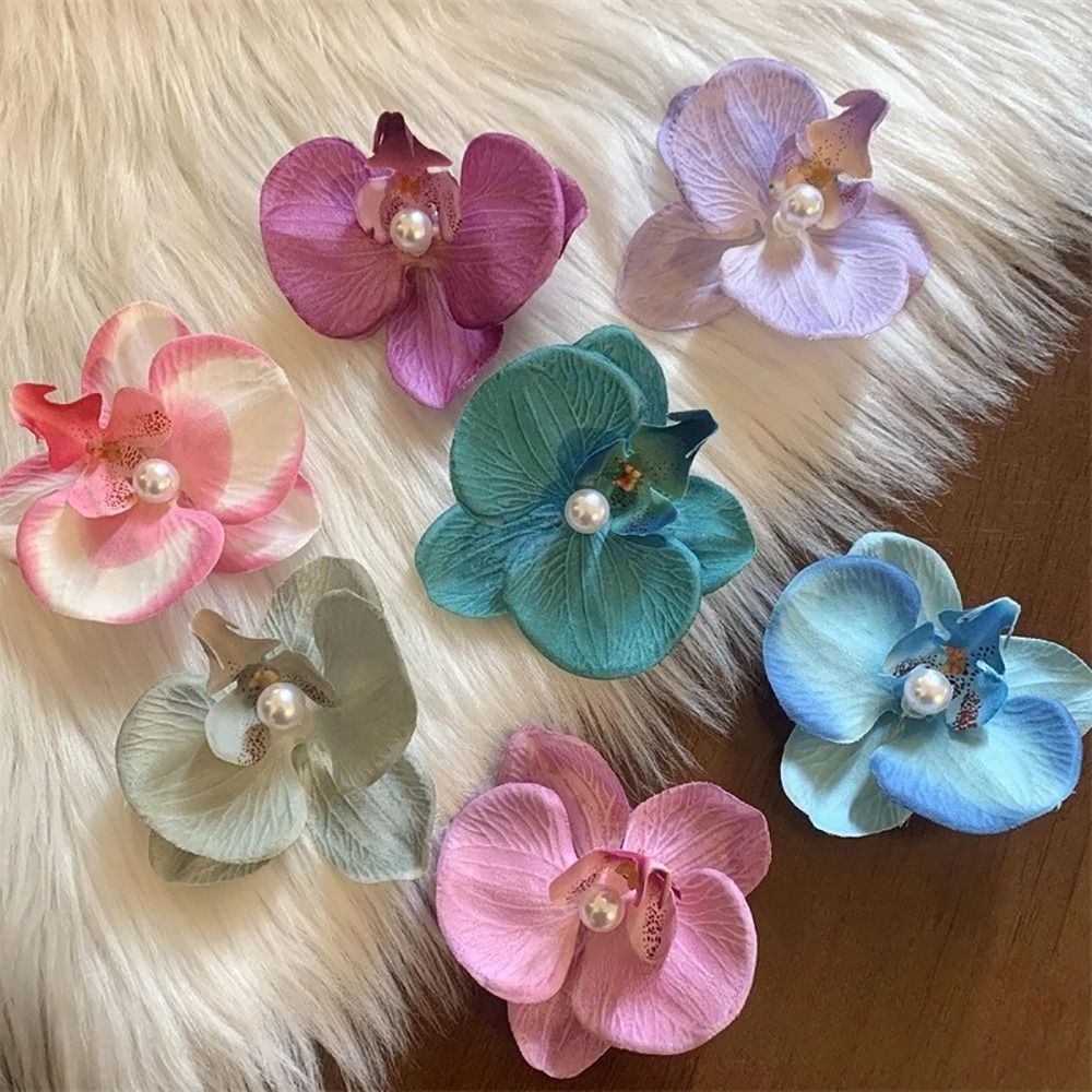 1Pcs Phalaenopsis Pearl Hair C - Orchid Phalaenopsis recension och pris