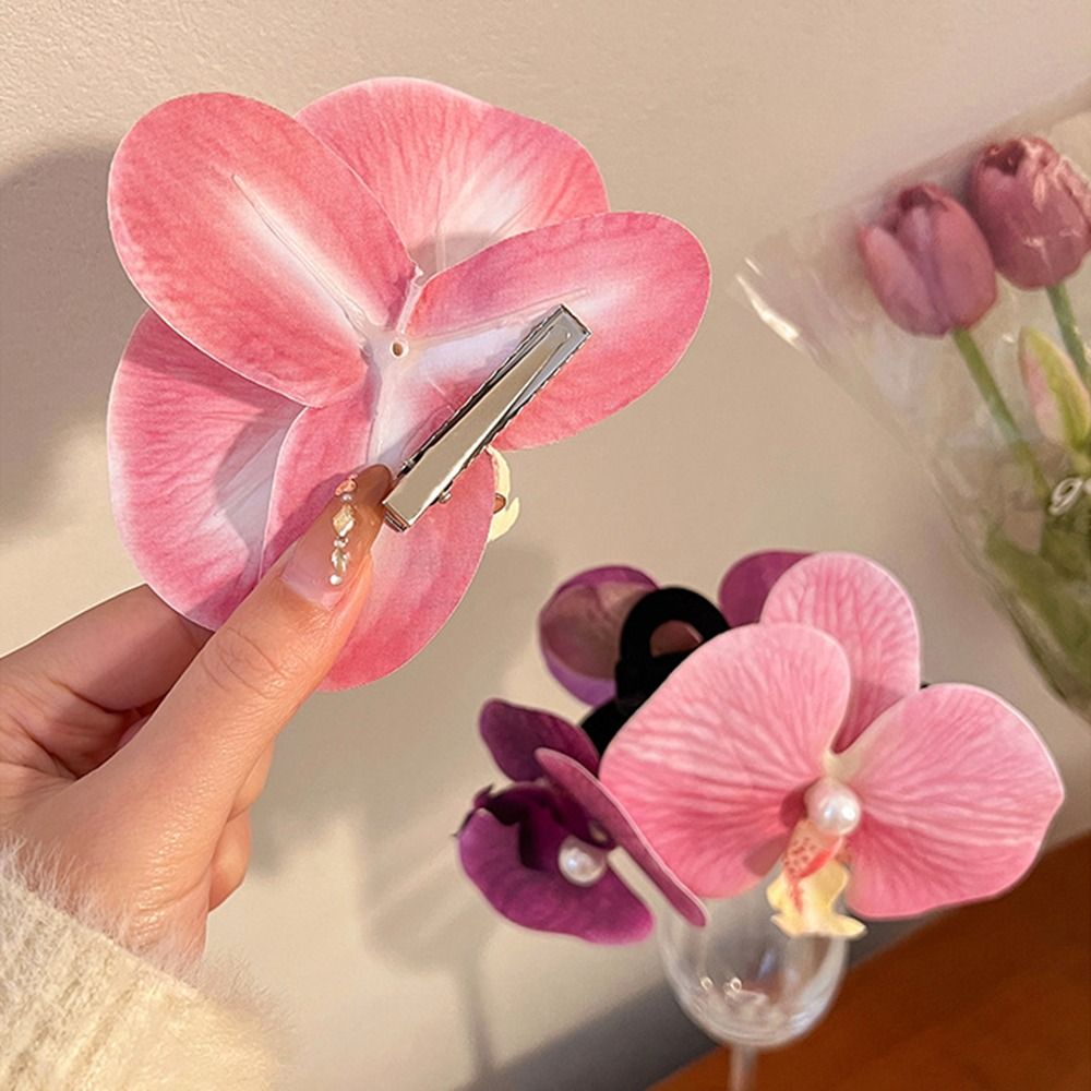 1Pcs Phalaenopsis Pearl Hair C - Orchid Phalaenopsis recension och pris